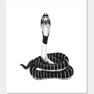 Cobra . Posters and Art